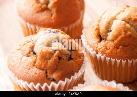 Pane appena sfornato in casa muffin ai mirtilli. Foto Stock