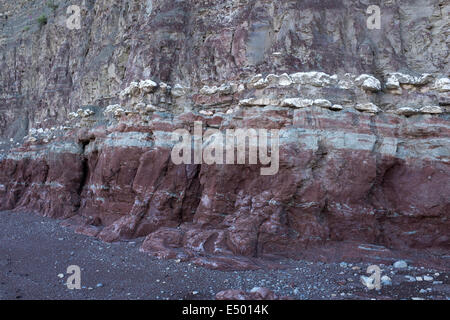 Scogliera che mostra strati di roccia in Penarth South Wales UK Foto Stock