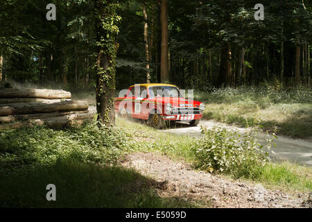 Ford Anglia rally car a Goodwood Festival della velocità 2014 Foto Stock