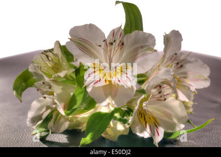 Bouquet di fiori colorati Foto Stock