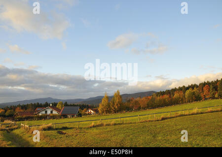 Neuschoenau Foto Stock