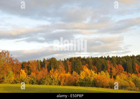 Neuschoenau Foto Stock