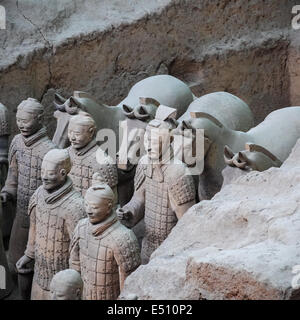 Terra cotta guerrieri e cavalli Foto Stock