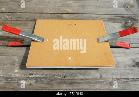 Premendo foglie d'acero Foto Stock