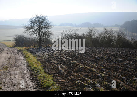 Campo dopo aratura in inverno Foto Stock