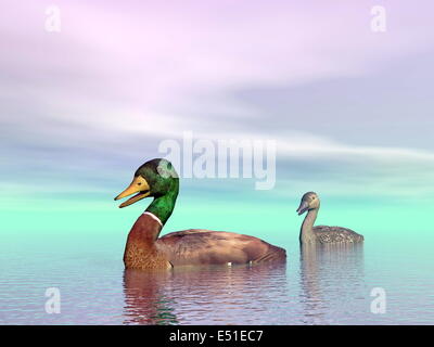 Le anatre bastarde giovane - 3D render Foto Stock