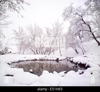 Coperta di neve riverbank con alberi Foto Stock