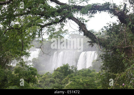 Cascate di Iguazu X Foto Stock