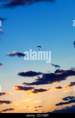 Paracadutista contro il cielo al tramonto Foto Stock