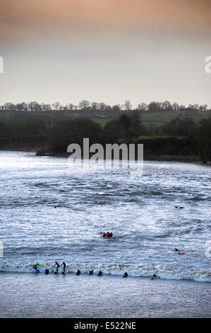 I surfisti e canoisti di equitazione Severn foro a Scandicci ha-on-Severn, GLOUCESTERSHIRE REGNO UNITO 2014 Foto Stock