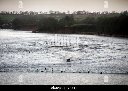 I surfisti e canoisti di equitazione Severn foro a Scandicci ha-on-Severn, GLOUCESTERSHIRE REGNO UNITO 2014 Foto Stock