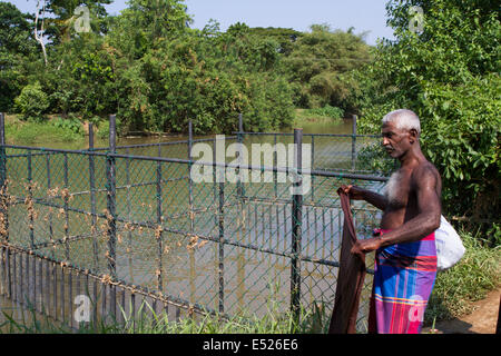 Protezione a gabbia di balneazione per gli abitanti di un villaggio vicino a Matara Sri Lanka da uomo a mangiare i coccodrilli di acqua salata (Crocodylus porosus) Foto Stock