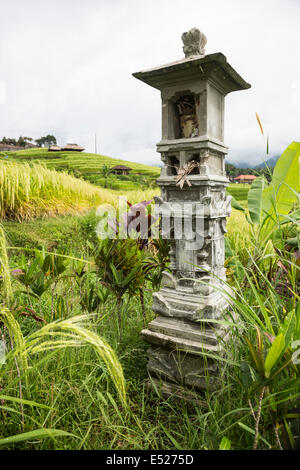 Jatiluwih, Bali, Indonesia. Offerte all'interno di un santuario di Sri, la dea del riso. I campi di riso in background. Foto Stock