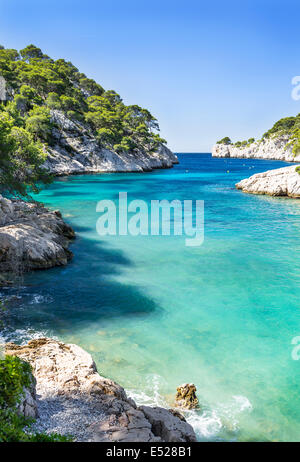 Calanques di Port pin in Cassis in Francia nei pressi di Marsiglia Foto Stock