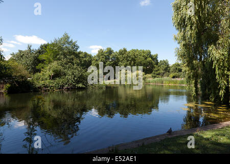 Vista di St James Park Lake, City of Westminster, Londra. Foto Stock