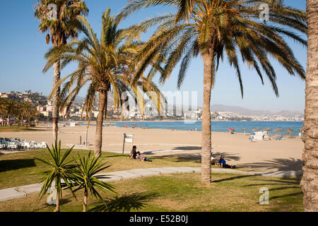 Alberi di palma Playa de Malaguera spiaggia sabbiosa di persone a prendere il sole in mare, Malaga, Spagna Foto Stock