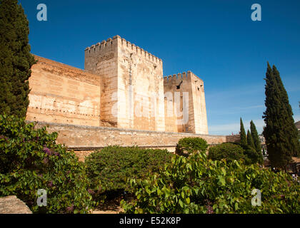 Le mura fortificate del castello Alcazaba nel complesso Alhambra di Granada, Spagna Foto Stock