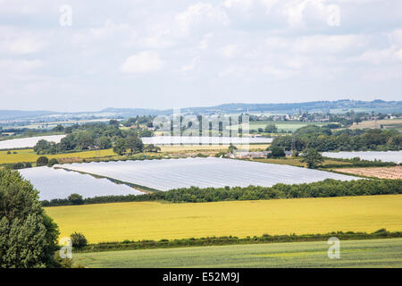 L'agricoltura moderna nella valle del Wye con l'uso di plastica per coprire le coltivazioni, Herefordshire, England, Regno Unito Foto Stock