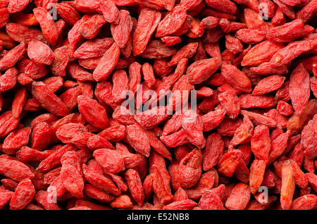 Bacche di Goji Foto Stock