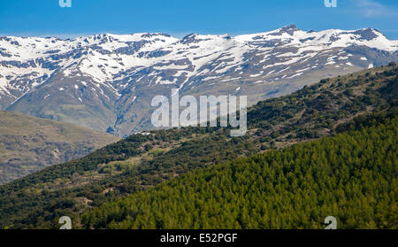 Paesaggio della Sierra Nevada in alta Alpujarras, vicino a Capileira, provincia di Granada, Spagna. Foto Stock