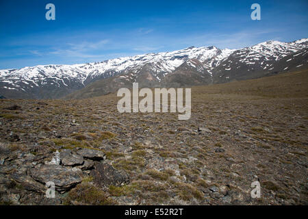 Paesaggio della Sierra Nevada in alta Alpujarras, vicino a Capileira, provincia di Granada, Spagna. Foto Stock