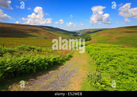 Trans Pennine Trail e distante Woodhead serbatoio in Longdendale, Derbyshire, Parco Nazionale di Peak District, Inghilterra, Regno Unito. Foto Stock