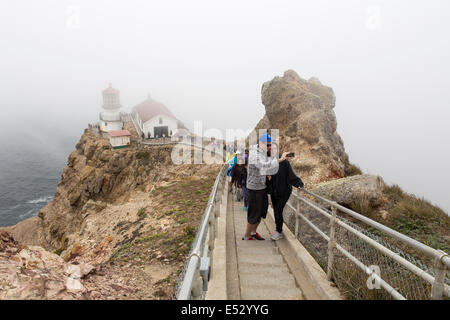 Giovane, turisti, tenendo selfie, selfie foto, scale, Point Reyes Lighthouse, Point Reyes National Seashore, Marin County, California Foto Stock