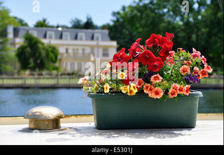 Bucks - Marlow sul Tamigi - barca ormeggiata - semplice fiori colorati in trogolo - sfondo elegante riverside mansion - Luce solare blu cielo Foto Stock