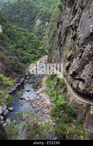 Suspension bridge spanning sopra la gola Foto Stock