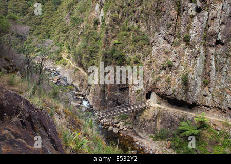 Sospensione ponte vicino al fondo della gola Foto Stock