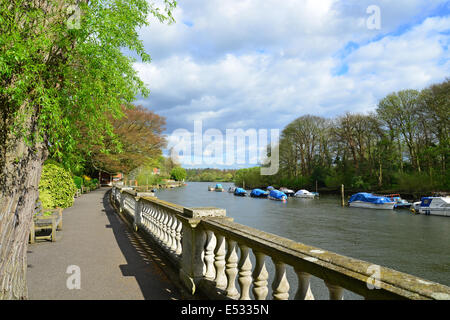 Riverside Thames Path, Twickenham, London Borough of Richmond upon Thames, Greater London, England, Regno Unito Foto Stock