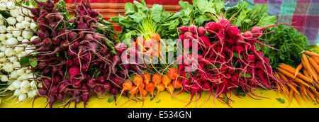 I fornitori a vendere verdure fresche, produrre e altri elementi a un lavoro stagionale mercato degli agricoltori nel piccolo paese di montagna di salida, Colorado Foto Stock