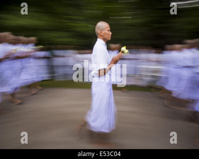 Khlong Luang, Pathum Thani, Thailandia. 19 Luglio, 2014. Gli uomini che saranno ordinati come i monaci buddisti di partecipare in una processione attorno all'ordinazione hall presso il Wat Phra Dhammakaya. Settantasette uomini provenienti da 18 paesi sono stati ordinati come i monaci buddisti e i novizi al Wat Phra Dhammakaya, un tempio buddista a nord di Bangkok, sabato. È il centro del movimento Dhammakaya, una setta buddista fondata negli anni settanta e guidato da Phra Dhammachayo (Phrathepyanmahamuni). È il più grande tempio in Thailandia. Credito: ZUMA Press, Inc./Alamy Live News Foto Stock