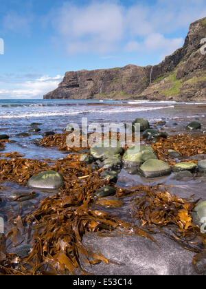 Le alghe, sabbia e ciottoli sulla spiaggia a Talisker Bay, Isola di Skye, Scotland, Regno Unito Foto Stock