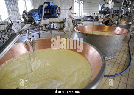 Trescore Cremasco (Cremona, Italia); produzione di Grana Padano DOP italiani formaggio tipico Foto Stock