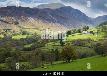 Vista attraverso Newlands Valley verso il picco di Catbells, Lake District, Cumbria, Regno Unito Foto Stock