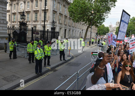 Whitehall, Londra, Regno Unito. Il 19 luglio 2014. Downing Street è isolato da barriere e polizia extra per la marcia di protesta per la solidarietà con la Palestina Credito: Matteo Chattle/Alamy Live News Foto Stock