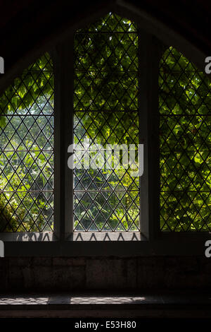 Vetro piombato con verde edera crescente intorno ad esso nel corridoio di pietra in admin edificio presso la University College Cork, Irlanda. Foto Stock