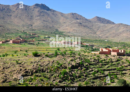Villaggio di case di lusso su vecchi terreni agricoli per ricchi Casablacans tornando Tiznit,Parc National,Via N1,a sud ovest del Marocco Foto Stock