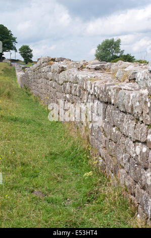 Vista in dettaglio di un tratto del muro di Adriano in esecuzione a ovest verso Birdoswald Roman Fort, Cumbria, England, Regno Unito Foto Stock