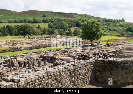 Vindolanda Roman Fort Northumberland England Regno Unito Foto Stock