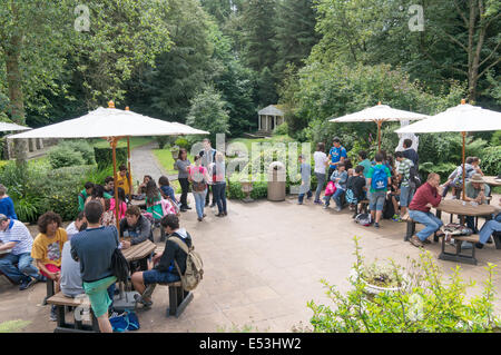 Visitatori presso il café all'interno di Vindolanda Roman Fort museum, Northumberland England Regno Unito Foto Stock