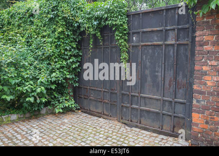 Antico cancello di ferro rivestito con superriduttore Kanonia Street Wroclaw Foto Stock