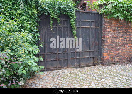 Antico cancello di ferro rivestito con superriduttore Kanonia Street Wroclaw Foto Stock