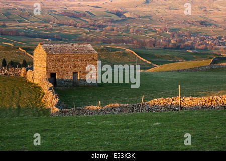 Stalattite pareti e fieldbarns illuminata dal sole di setting a Wensleydale, Yorkshire Dales, North Yorkshire, Regno Unito Foto Stock