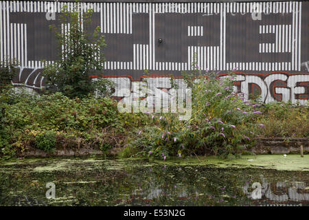 Scena lungo la lea canale di navigazione nella zona est di Londra, Regno Unito. Il fiume Lea è un importante affluente del fiume Tamigi. Molto del Lee navigazione sia all'interno di Lea Valley Park, un multi-County Regional Park e spazio aperto conservare. Street sono e graffiti è un regolare vista lungo il canale. Foto Stock