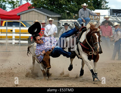 Rodeo - azione di cattura del vitello Foto Stock