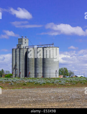 Grano di concrete possibilità di memorizzazione con silos Foto Stock