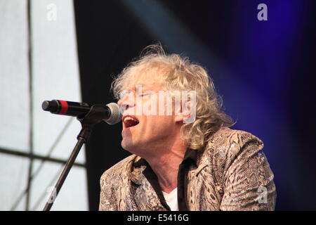 Nottingham East Midlands, Regno Unito. Il 19 luglio 2014. Sir Bob Geldof del boomtown ratti suona al Festival di splendore 2014 nella motivazione di Nottingham's Wollaton Hall. Foto Stock