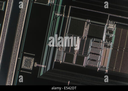 Micro-fotografia di micro-circuiteria di un unico chip die su un wafer di silicio, la tecnologia digitale concetto. Vedere 'Descrizione' per focus Dettaglio nota, Foto Stock